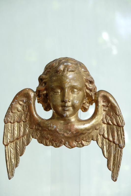 Talla Ángel