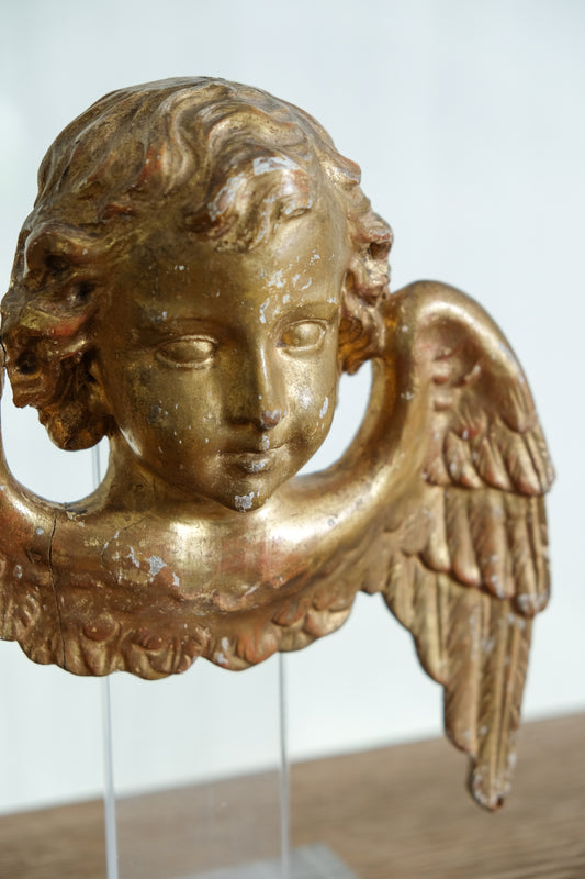 Talla Ángel